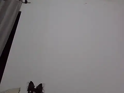 machodotado97 online show from 03/02/26, 05:41