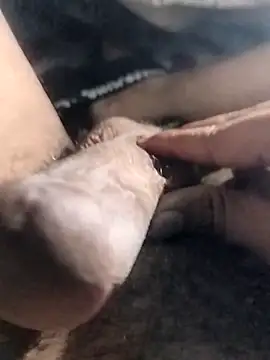 taherDzzf online show from 04/17/26, 11:19