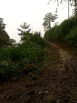 Nth5h online show from 04/18/26, 11:27