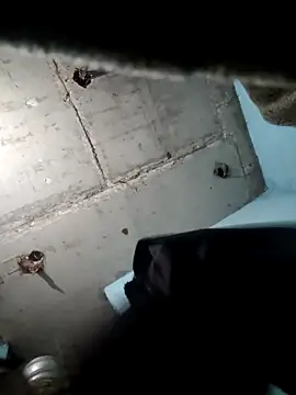 Snapshot of M_Lisha chatting on 02/25/26, 06:39 M Lisha online show from 02/25/26, 06:39