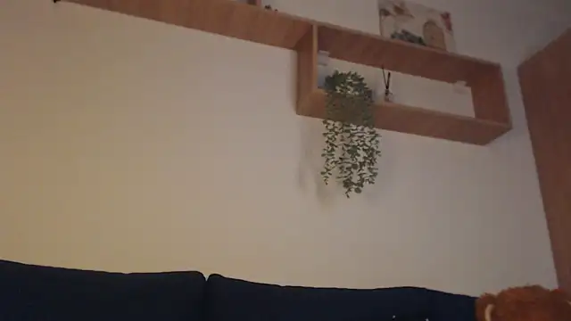 SPICYKC online show from 04/19/26, 06:54