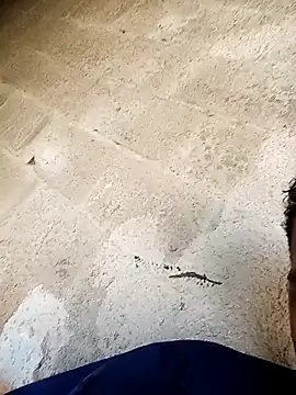 Snapshot of negopreto_ chatting on 02/24/26, 07:34 negopreto online show from 02/24/26, 07:34