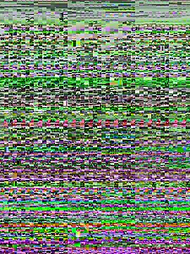 kana 0012 online show from 03/07/26, 12:51