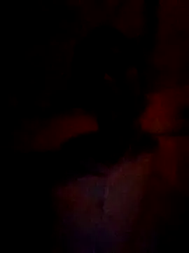 wifedesi7050 online show from 03/05/26, 04:47