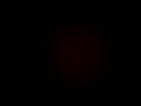 wifedesi7050 online show from 04/07/26, 04:24