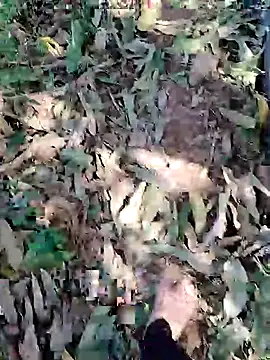 Snapshot of blackbeauty321 chatting on 03/03/26, 09:04 blackbeauty321 online show from 03/03/26, 09:04