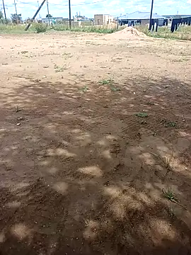 Snapshot of Dee-n-Dee_nyash chatting on 02/25/26, 08:46 Dee-n-Dee nyash online show from 02/25/26, 08:46