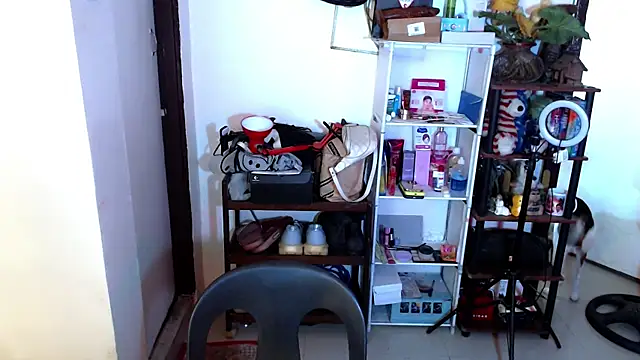 sweetasian zoe online show from 04/17/26, 06:11