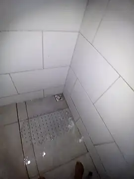 casadosafadoooo online show from 03/11/26, 08:26