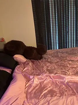 wavywavy12 online show from 04/19/26, 07:27