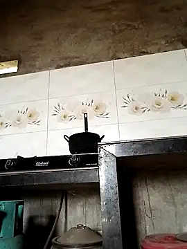 elen8800 online show from 04/21/26, 03:35