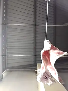 Jinnie sexy online show from 03/07/26, 05:37