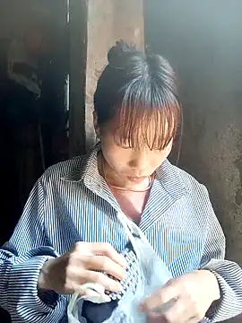 pic8800 online show from 03/26/26, 06:30