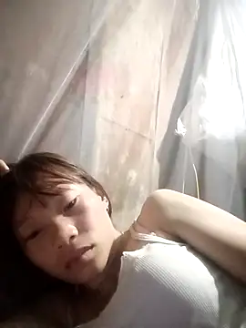 pic8800 online show from 03/31/26, 07:14