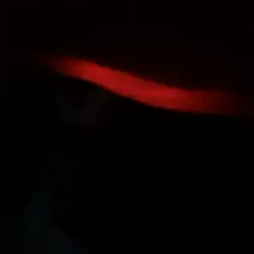 yaocaobi8 online show from 03/19/26, 10:25