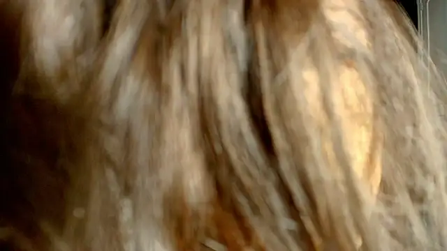 Snapshot of ambriosialove chatting on 03/03/26, 11:27 ambriosialove online show from 03/03/26, 11:27