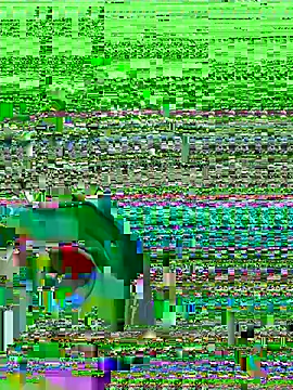 midsize 94 online show from 02/26/26, 03:38