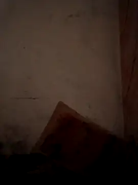 CoralN online show from 04/01/26, 03:51