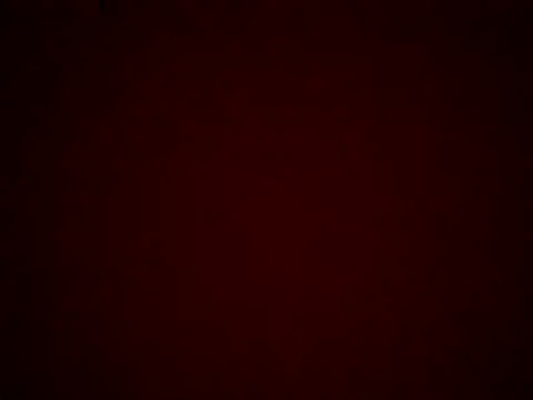 Snapshot of kiraa-007 chatting on 05/28/26, 03:53 kiraa-007 online show from 05/28/26, 03:53
