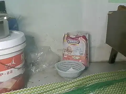 Fish sexy online show from 03/28/26, 09:09