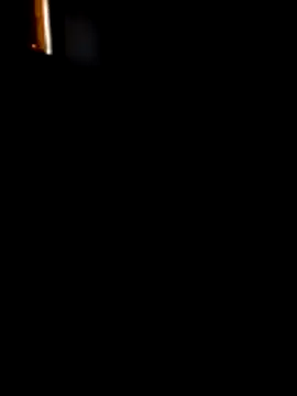 wolf297 online show from 06/24/26, 12:59