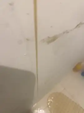 bichalouca online show from 03/31/26, 09:15