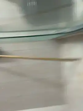 David-latinlover online show from 03/29/26, 10:43