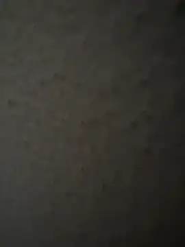 MIABCDZ online show from 05/12/26, 01:58
