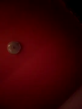 Snapshot of alexandruElena chatting on 02/28/26, 06:20 alexandruElena online show from 02/28/26, 06:20