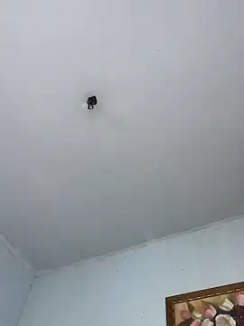 BigBig024 online show from 03/08/26, 05:17