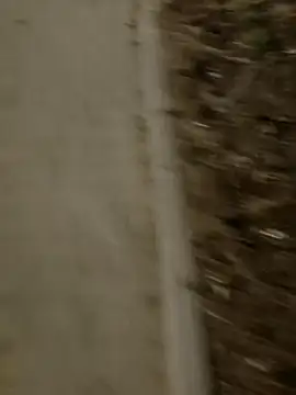 Snapshot of MarekPublicShow chatting on 03/03/26, 09:42 MarekPublicShow online show from 03/03/26, 09:42