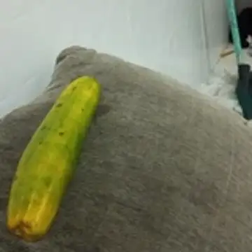 puta casada online show from 03/07/26, 07:22