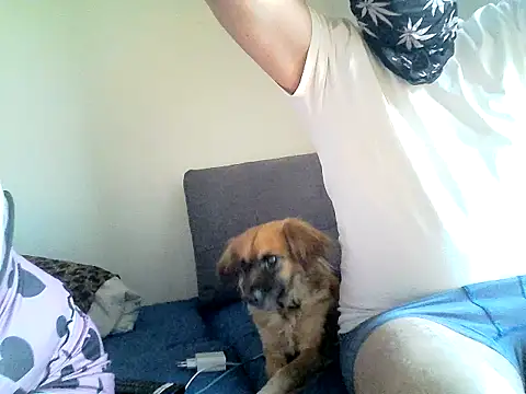 SirNefastus online show from 04/12/26, 04:28