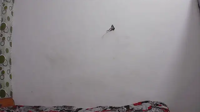 hard to do   online show from 04/11/26, 05:17