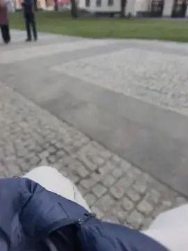 PublicMarekFlashDick online show from 03/28/26, 02:38