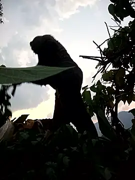 Bling-pusy online show from 04/08/26, 11:32