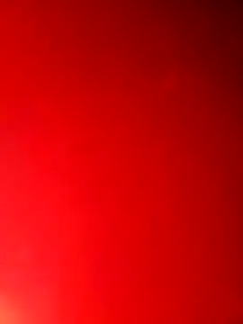 hobgkl online show from 03/13/26, 06:53