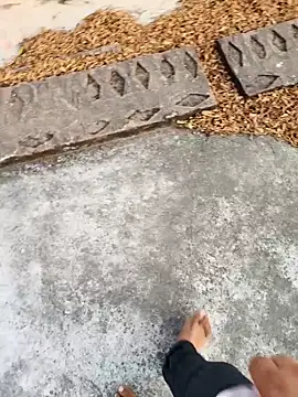 Desii rockstarr online show from 03/17/26, 01:21