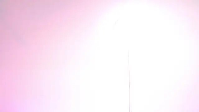 Rebeldana online show from 04/13/26, 04:56