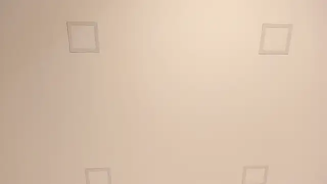 lilly williamss online show from 04/09/26, 06:19