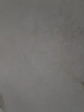 Snapshot of Casandraxquesi chatting on 03/11/26, 04:13 Casandraxquesi online show from 03/11/26, 04:13