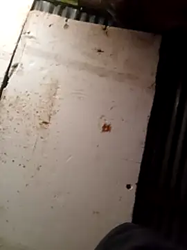 Snapshot of cuteboy023dick chatting on 03/15/26, 01:50 cuteboy023dick online show from 03/15/26, 01:50