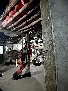 kalara kail online show from 03/30/26, 10:55