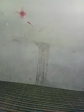 School teacher12 online show from 04/14/26, 12:05