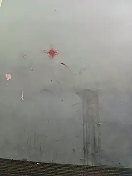 School teacher12 online show from 04/15/26, 03:41