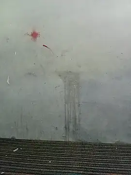 School teacher12 online show from 04/19/26, 03:55