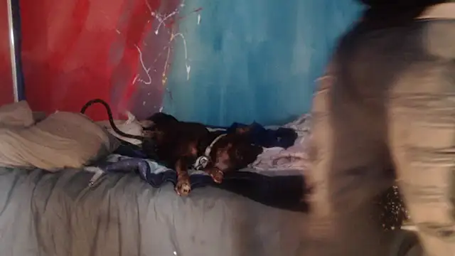 punkyslut69 online show from 04/14/26, 06:25