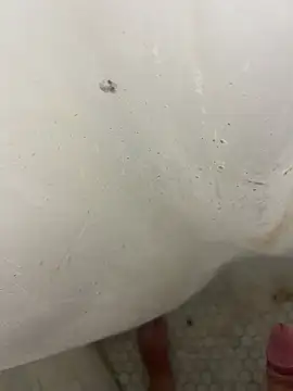 Jacobhj online show from 04/20/26, 07:48