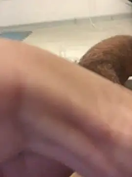 arroba-Go Go online show from 03/24/26, 05:23