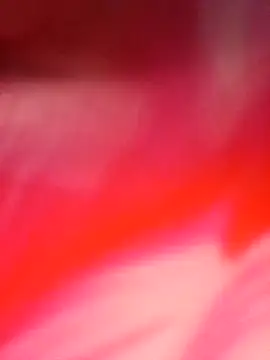 Ron 0101 online show from 04/21/26, 07:06